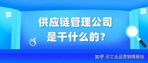 供應鏈管理服務(wù) 連接企業(yè)與市場的高效橋梁